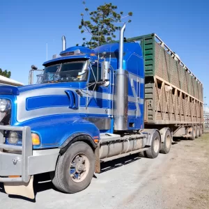 Long Cattle Truck Lorry at cattle sale yards